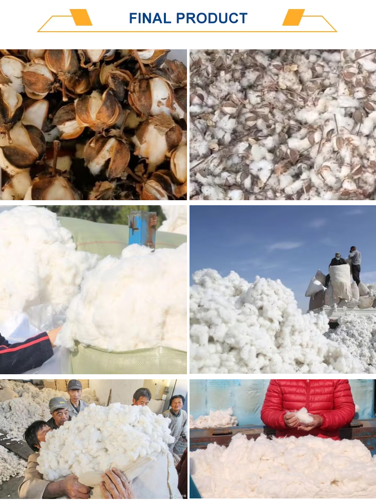 cotton-shelling-cleaning-machine_08.jpg